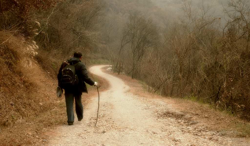 山间小路 摄影 七月流星