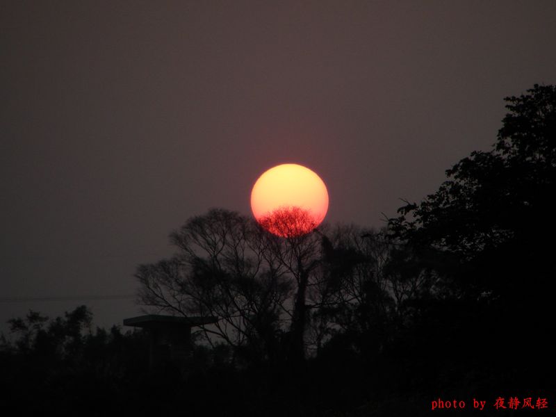 夕阳红 摄影 夜静风轻