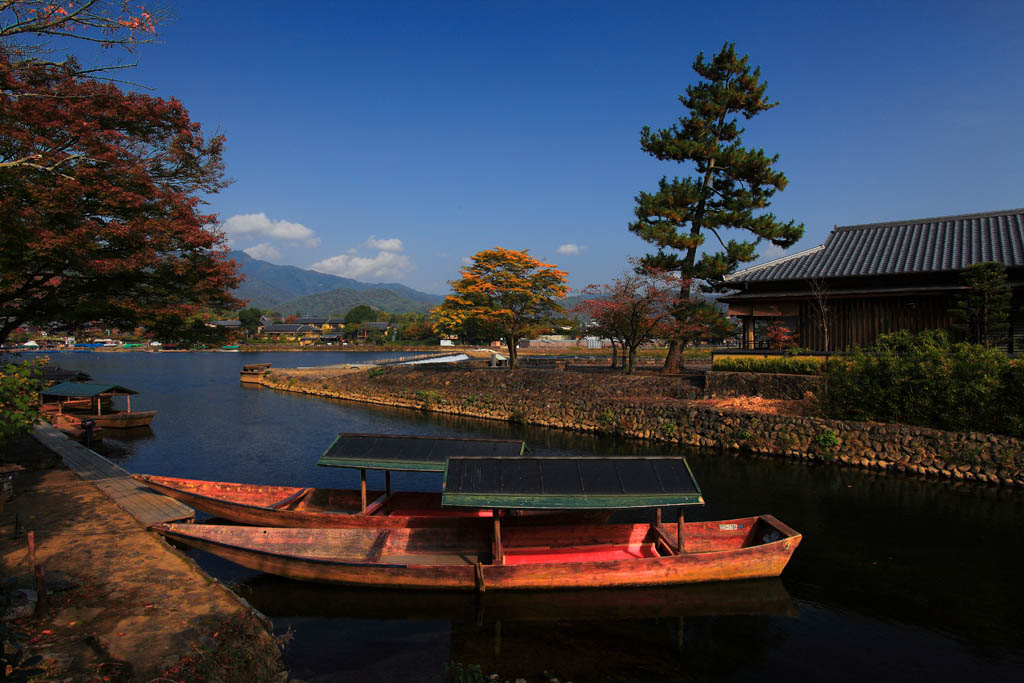 初秋时节的京都岚山大堰川 摄影 qxs