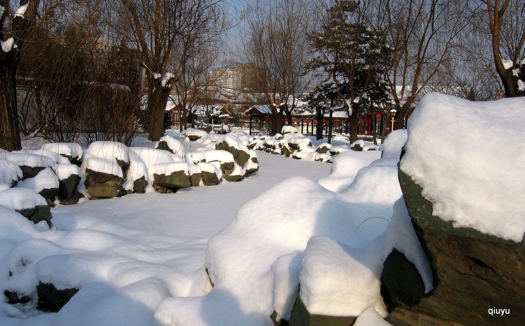 2010年第一场大雪——雪景2 摄影 秋雨