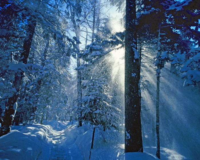 林海雪原 摄影 惠来