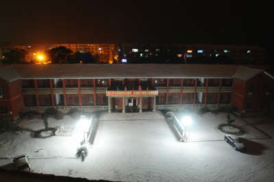 雪夜 摄影 虎虎生威