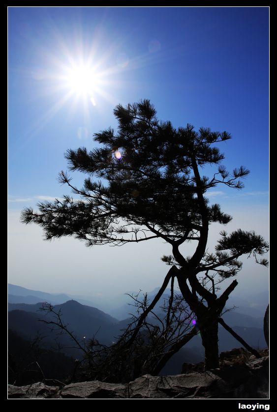 泰山一景 摄影 徐鹰