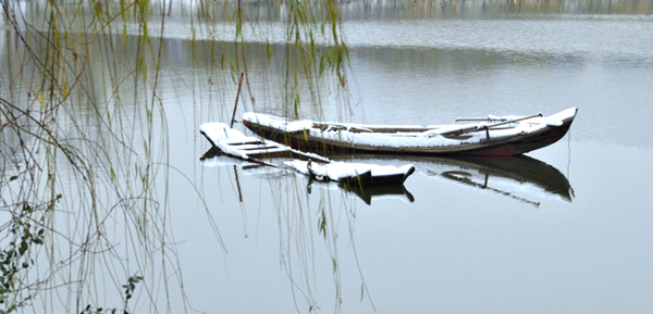 同沉浮 摄影 wuhanmingmin