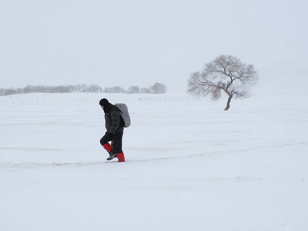 雪域独行 摄影 祖龙居士