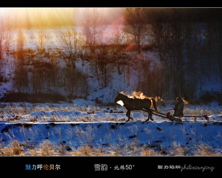 雪韵北纬五十度（九） 摄影 智力陷阱