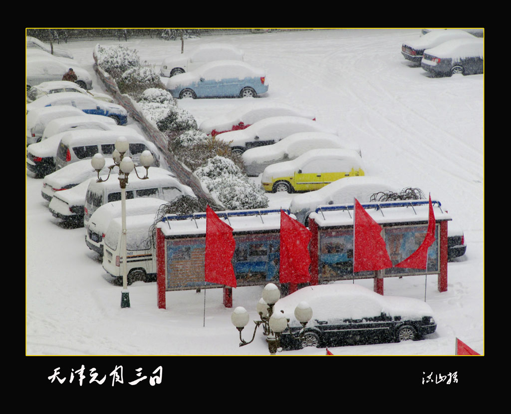 天津元月三日 摄影 洪山