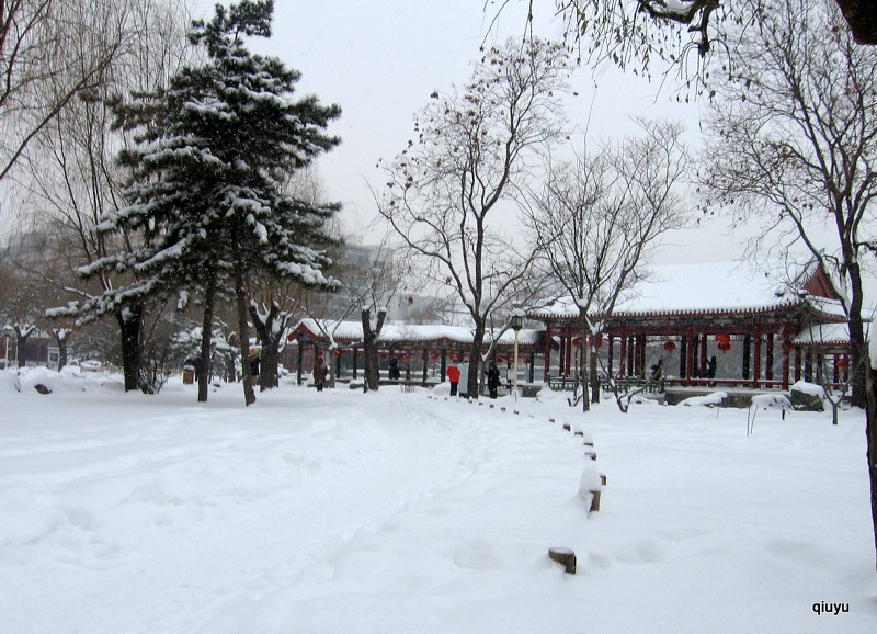 雪景3 摄影 秋雨