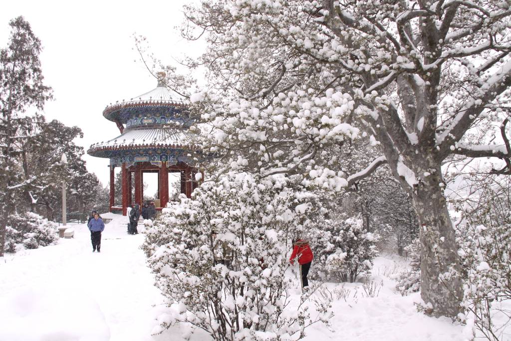 北京2010年第一场雪（6） 摄影 TT1948