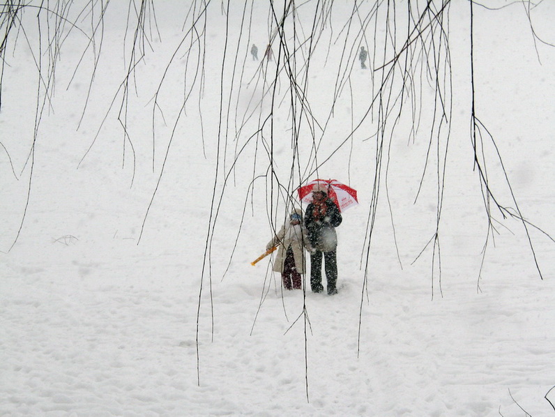 白雪皑皑--颐和园昆明湖上 摄影 天高任鹰飞