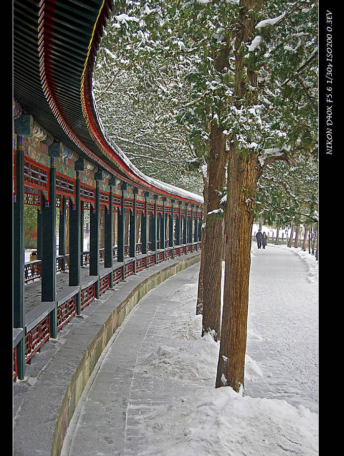 画廊雪景 摄影 岩影