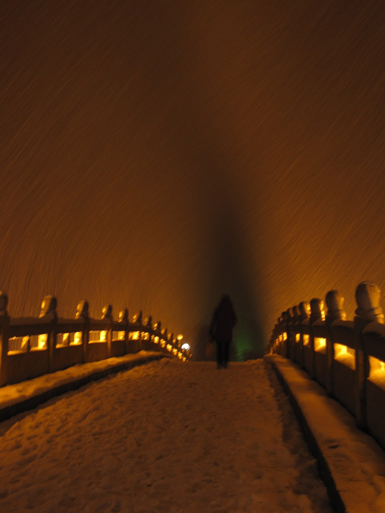 夜雪之三 摄影 纤云磨墨