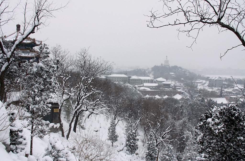 北京2010年第一场雪（7） 摄影 TT1948