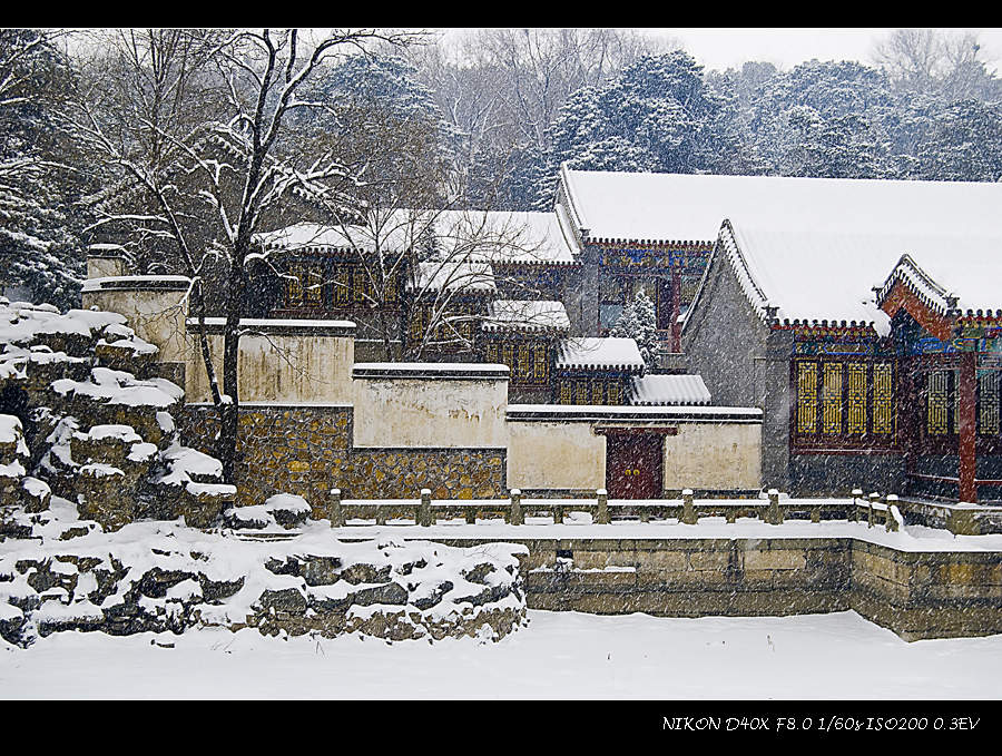 雪园 摄影 岩影