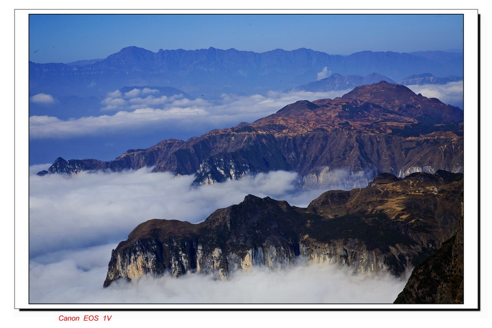 大山深处有人家 摄影 大山里的猫