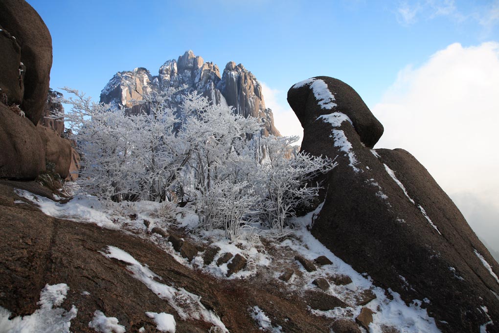 雪后黄山 11 摄影 拐杖