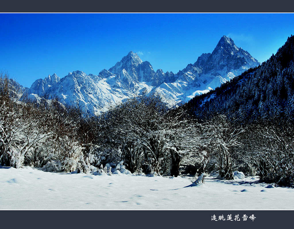 远眺莲花雪峰 摄影 youzong