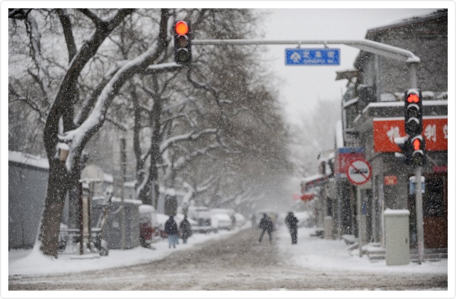 雪中街景 摄影 橄榄树枝