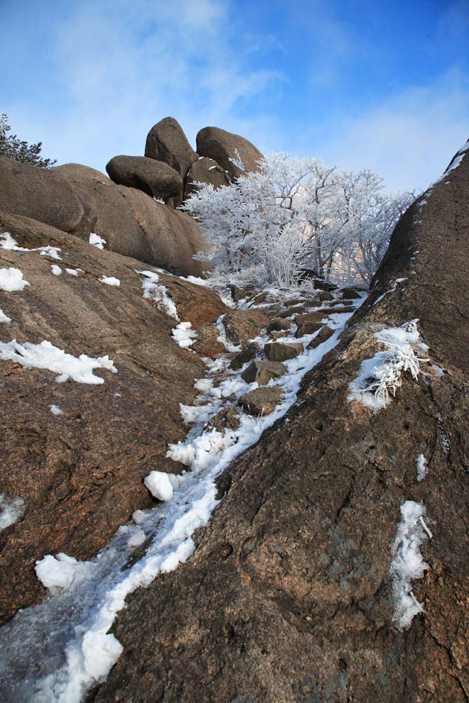 雪后黄山 12 摄影 拐杖