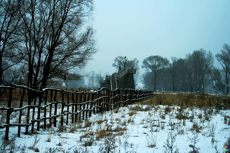 2010年的第一场雪 摄影 月儿湾湾