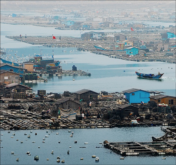 海上田园 摄影 痴心