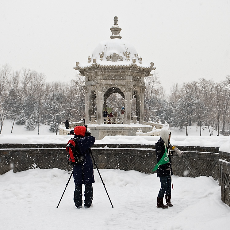 大雪之中 摄影 古都侠影