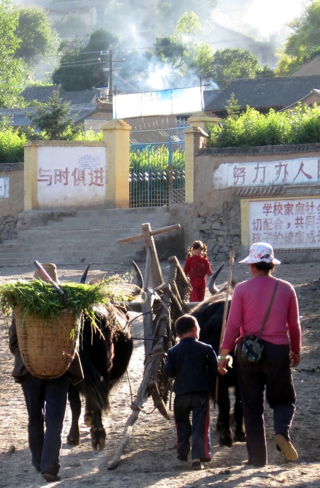 念书的孩子与劳作的父母 摄影 锁龙山人