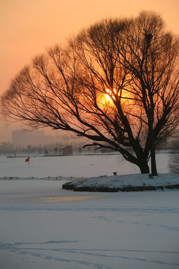 雪后夕阳 摄影 achou185