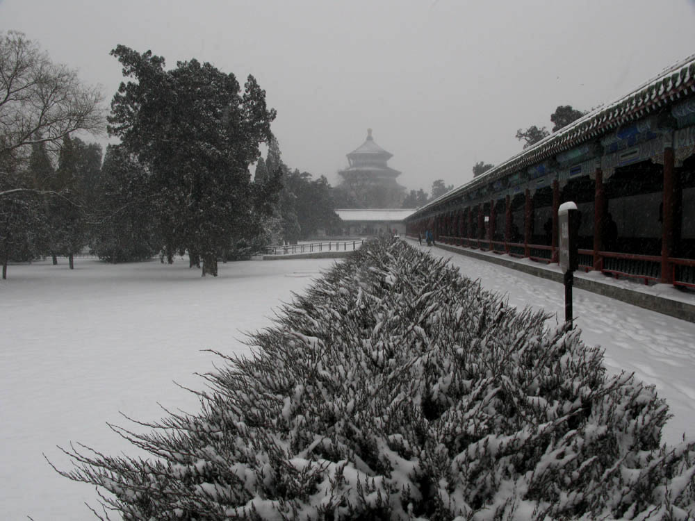 2010年元旦之雪 8 摄影 zhaoyanhong