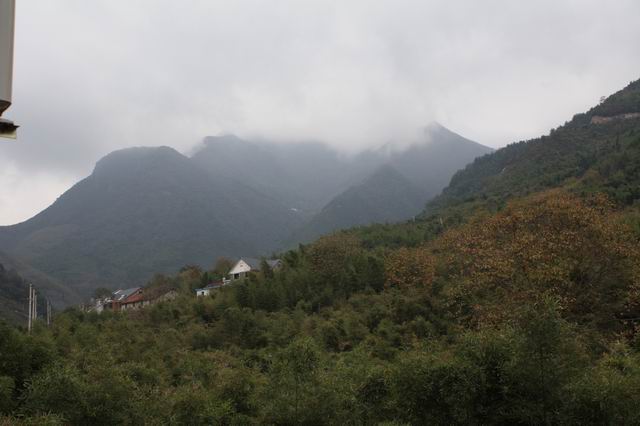 东天目山9 摄影 平安