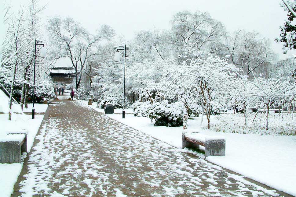 园林雪霁 摄影 禾子