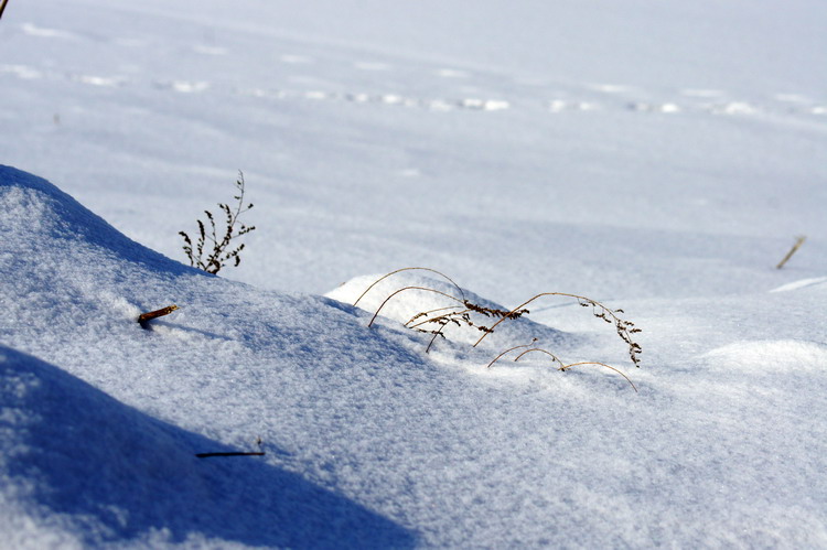 雪野 摄影 老山石