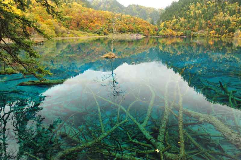 九寨沟的水 摄影 月风清