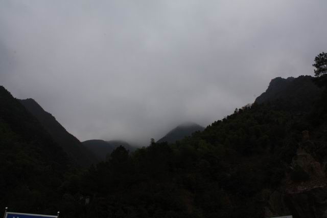 东天目山10 摄影 平安