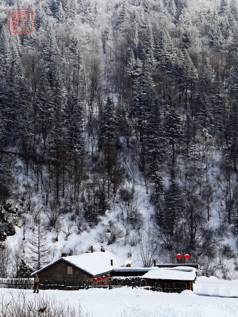 雪乡神韵 摄影 蓝七星