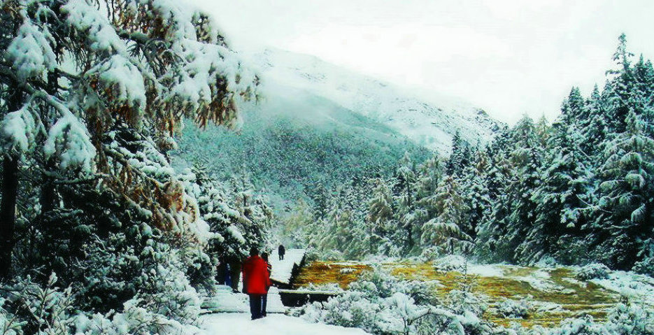 冬雪图 摄影 天梦