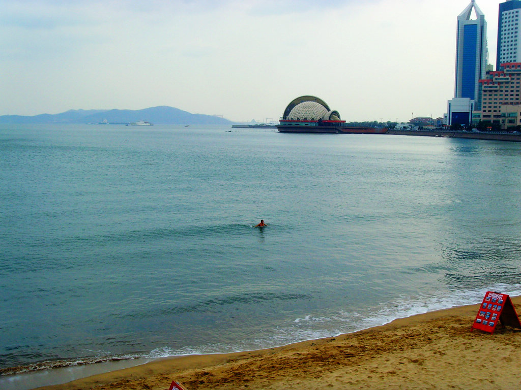 大海的冬天 摄影 海鸥119