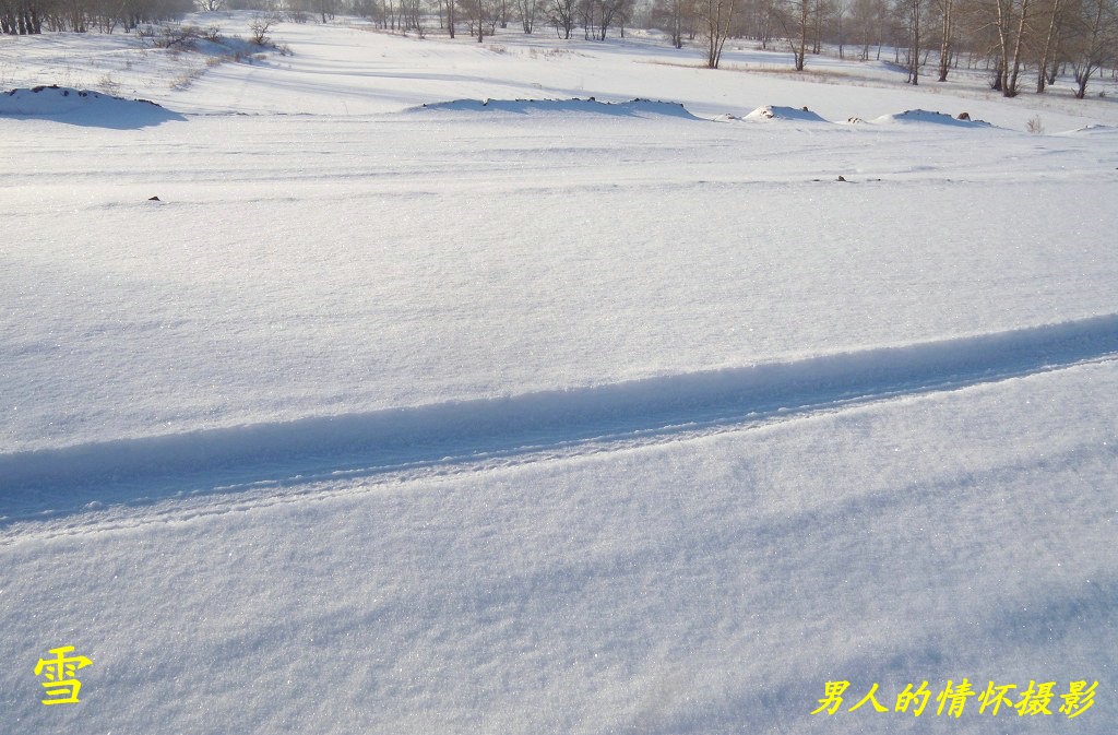 雪 摄影 男人的情怀