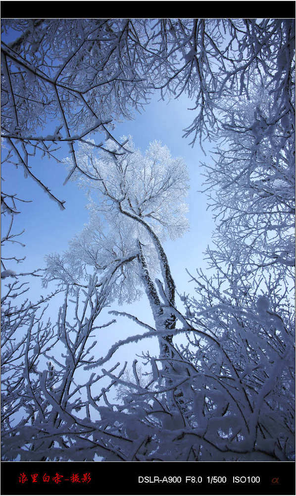 雪谷仙境 摄影 浪里白条a