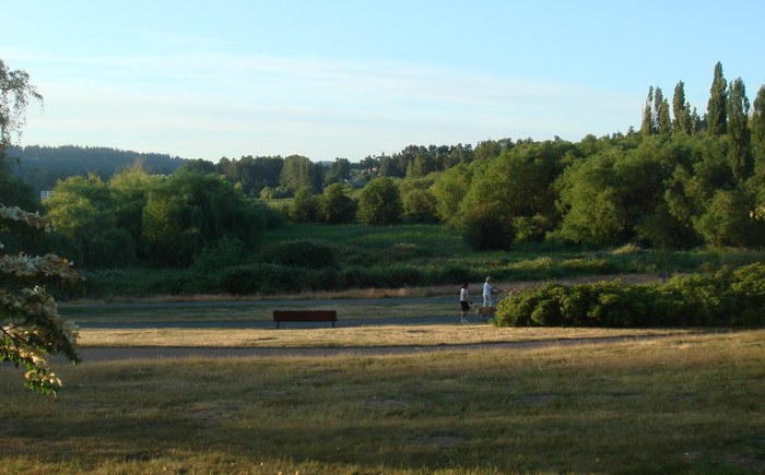 countryside-2 摄影 shaykh