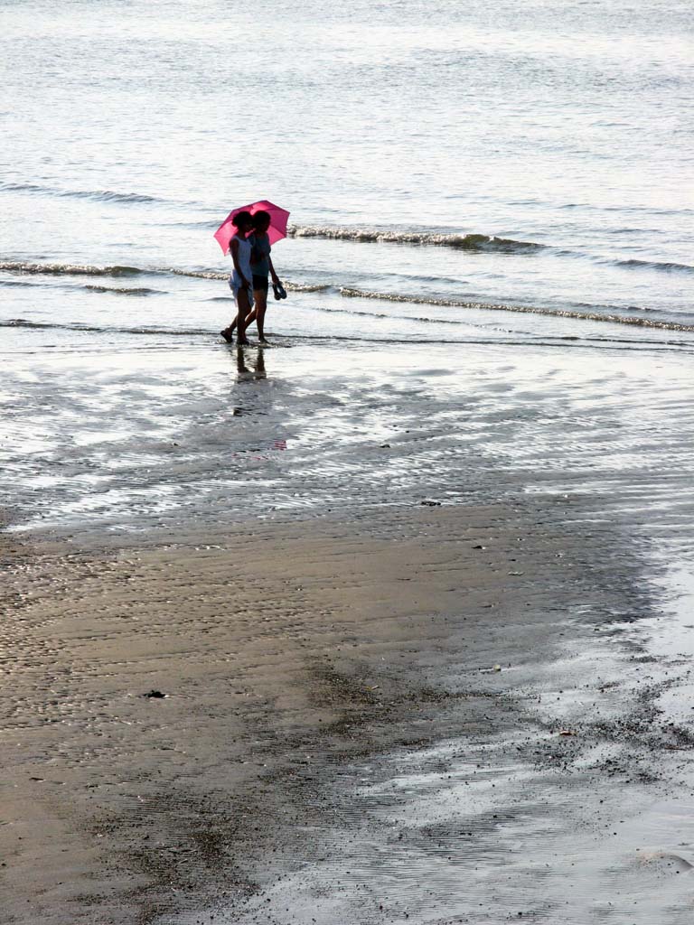 滨海佳影 摄影 晩秋