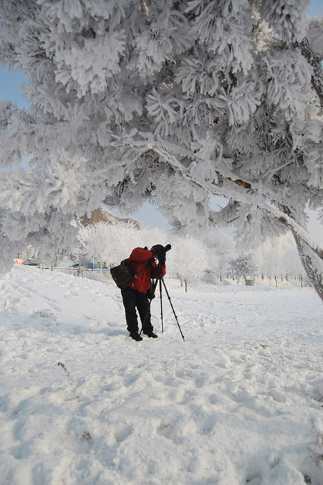 沃雪晶淞 摄影 巴虎邨人