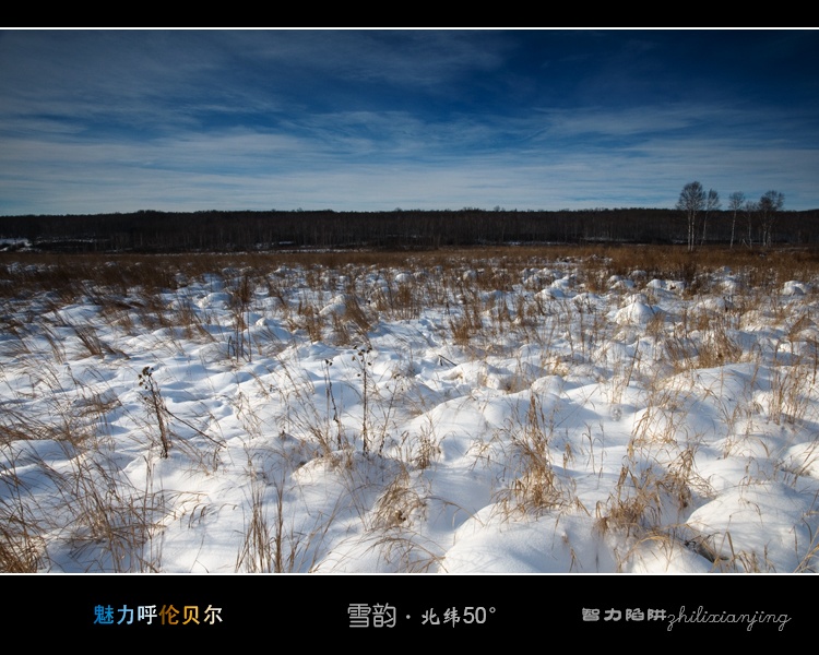 雪韵北纬五十度（十五） 摄影 智力陷阱