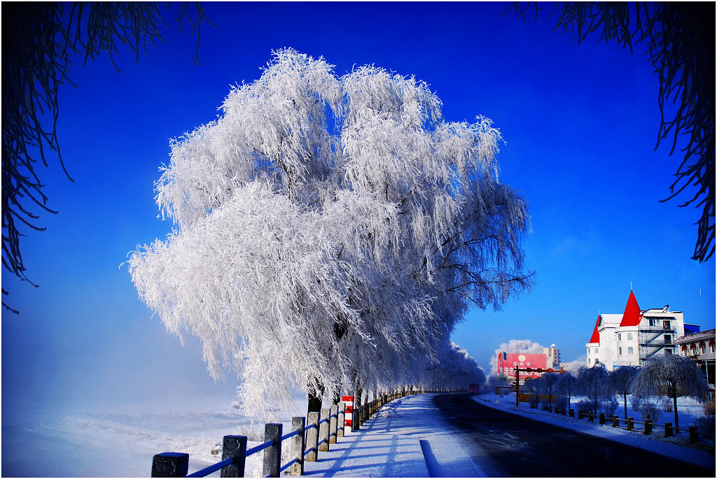 沁我以雪  3 摄影 山魂海魄