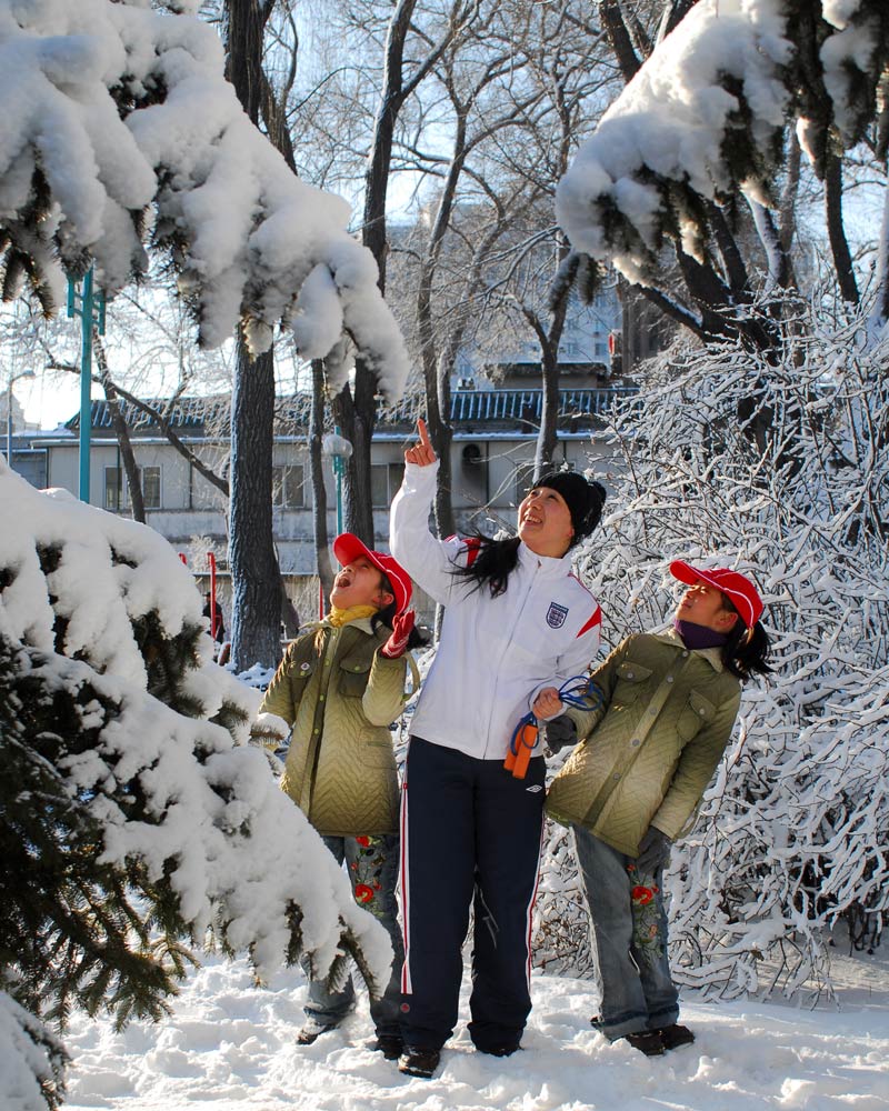 雪中情——城市记忆（3） 摄影 兴耀