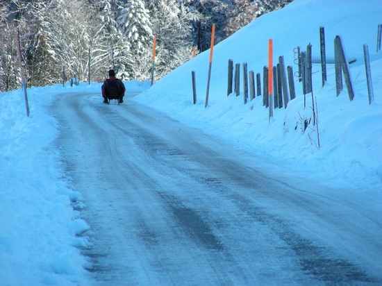 玩滑雪车 摄影 mingsheng