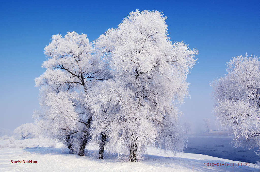 吉林雾凇 摄影 雪色年华