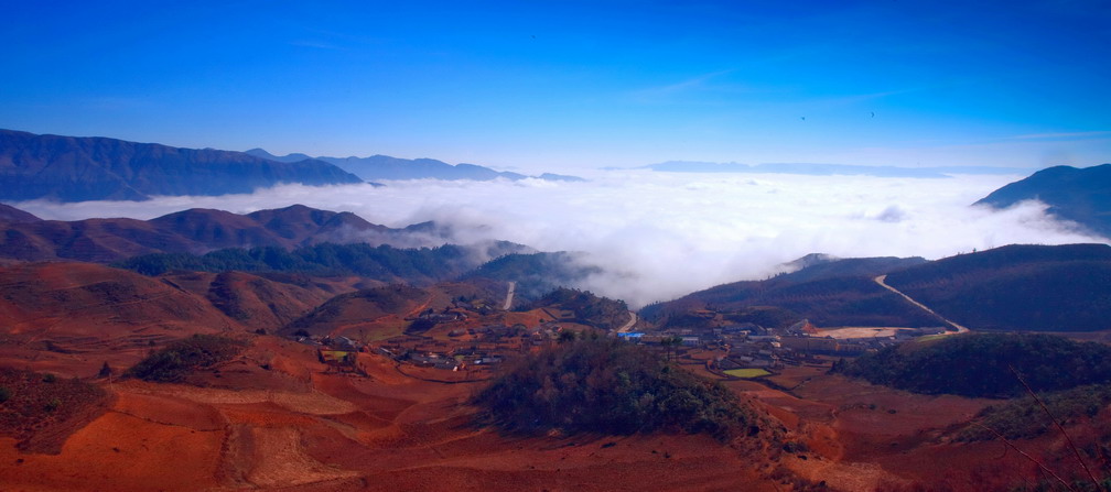 我的后山（续） 摄影 袁德洪