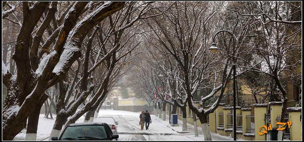 雪中街景 摄影 qdzp