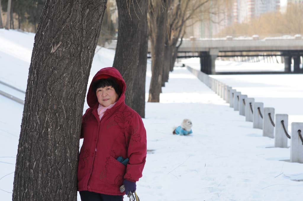 雪后坝河 摄影 mahuhou